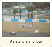 Asistencia al piloto