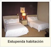 Estupenda habitación